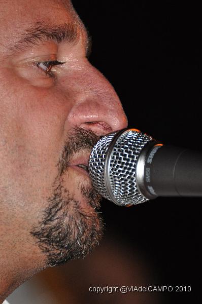DSC_0419.JPG
