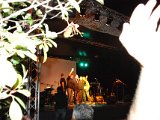 DSC_8561.JPG